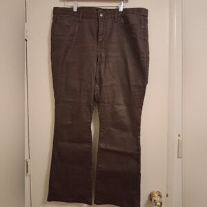 Banana Republic Mid-Rise Bootcut Pants in Brown